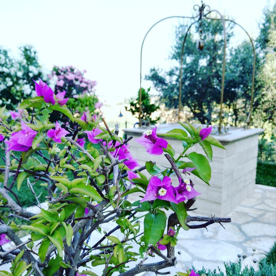 B&B Le Dive Ostra Εξωτερικό φωτογραφία